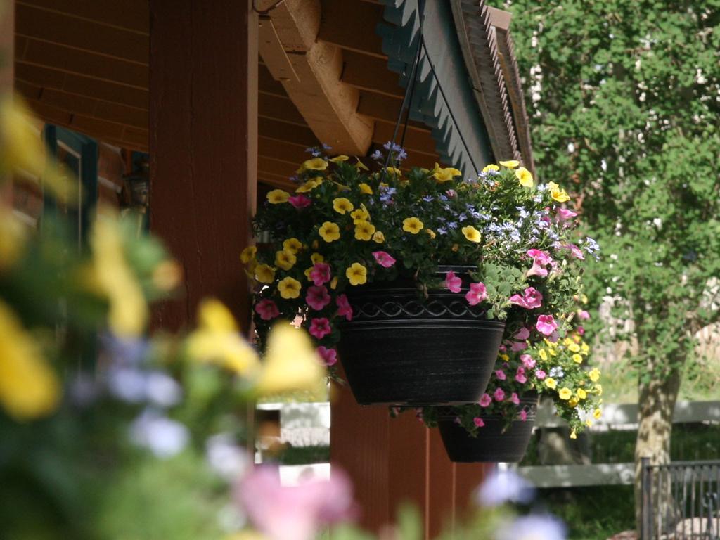 Ouray Inn Zewnętrze zdjęcie